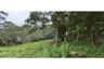 Land for sale in Mae Nam, Surat Thani
