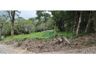 Land for sale in Mae Nam, Surat Thani
