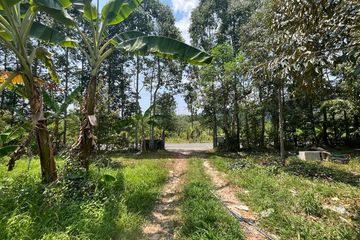 Land for sale in Khok Kloi, Phang Nga