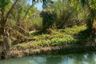 Land for sale in Wang Chaphlu, Kamphaeng Phet