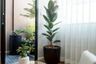 2 Bedroom House for rent in Baan Klang Muang Rama 9 - Krungthep Kreetha, Saphan Sung, Bangkok