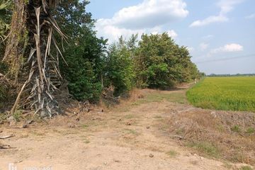 Land for sale in Bueng Bon, Pathum Thani