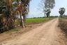 Land for sale in Bueng Bon, Pathum Thani