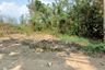 Land for sale in Bueng Bon, Pathum Thani