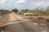 Land for sale in Bueng Bon, Pathum Thani