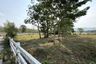 Land for sale in On Klang, Chiang Mai