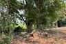 Land for sale in Choeng Doi, Chiang Mai