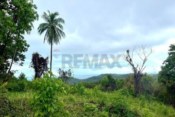 Land for sale in Taling Ngam, Surat Thani