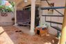 2 Bedroom House for sale in Nong Prue, Chonburi
