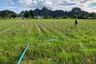 Land for sale in Nong Chumphon, Phetchaburi