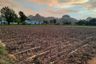 Land for sale in Nong Chumphon, Phetchaburi