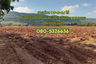 Land for sale in Sa Pradu, Phetchabun