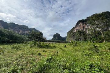 Land for sale in Khao Thong, Krabi