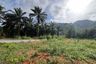 Land for sale in Khao Thong, Krabi