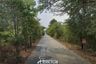 Land for sale in Khlong Yong, Nakhon Pathom