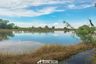 Land for sale in Khlong Yong, Nakhon Pathom