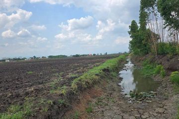 Land for sale in Dong Lakhon, Nakhon Nayok