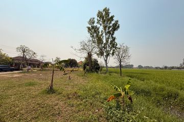 Land for sale in Choeng Doi, Chiang Mai