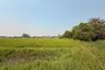 Land for sale in Choeng Doi, Chiang Mai