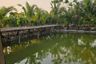 Land for sale in Si Bua Ban, Lamphun