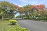 Land for sale in Nong Prue, Chonburi