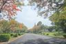Land for sale in Nong Prue, Chonburi