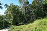 Land for sale in Mae Nam, Surat Thani