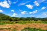 Land for sale in Tha Khlo, Saraburi