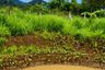 Land for sale in Tha Khlo, Saraburi