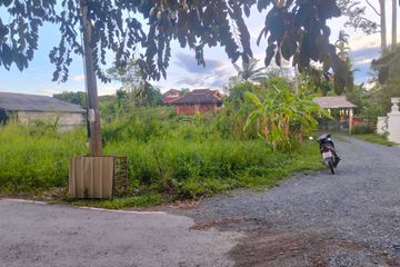 Land for sale in San Pu Loei, Chiang Mai