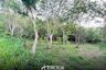 Land for sale in Huai Yai, Chonburi