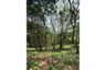 Land for sale in Mae Nam, Surat Thani