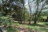 Land for sale in Mae Nam, Surat Thani