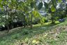 Land for sale in Mae Nam, Surat Thani