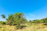 Land for sale in Mae Pu, Lampang
