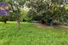 Land for sale in Ban Suan, Chonburi