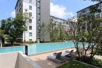 1 Bedroom Condo for Sale or Rent in D Condo Ping, Fa Ham, Chiang Mai