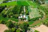 Land for sale in Yang Non, Suphan Buri