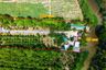 Land for sale in Yang Non, Suphan Buri