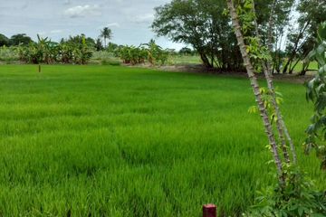 Land for sale in Nong Phrao Ngai, Nonthaburi