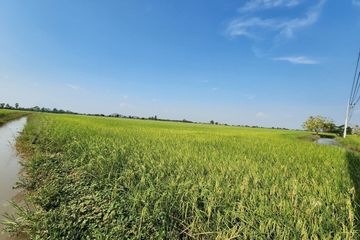 Land for sale in Nang Tao, Lopburi