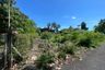 Land for sale in Nong Phueng, Chiang Mai