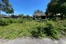 Land for sale in Nong Phueng, Chiang Mai