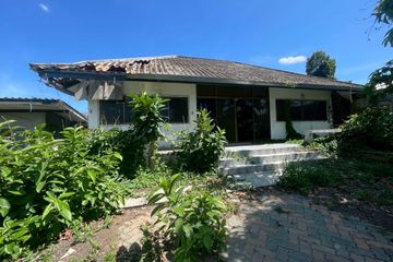 Land for sale in Nong Phueng, Chiang Mai