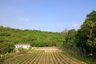 Land for sale in Bo Win, Chonburi