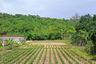 Land for sale in Bo Win, Chonburi