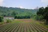 Land for sale in Bo Win, Chonburi