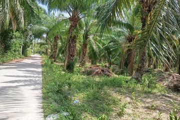 Land for sale in Samnak Bok, Chonburi