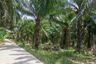 Land for sale in Samnak Bok, Chonburi