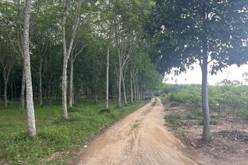 Land for sale in Khok Kloi, Phang Nga